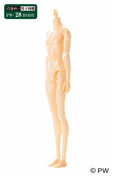 Qualia-box / ペットワークス 六分の一男子図鑑 PW-28BODY Qualia-box / ペットワークス 六分の一男子図鑑 PW-28BODY